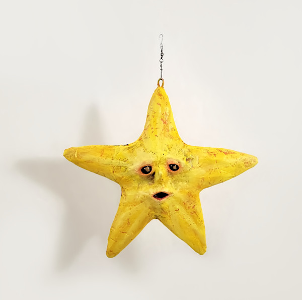 Salvo the Star by ocasiocasa, Image 2.