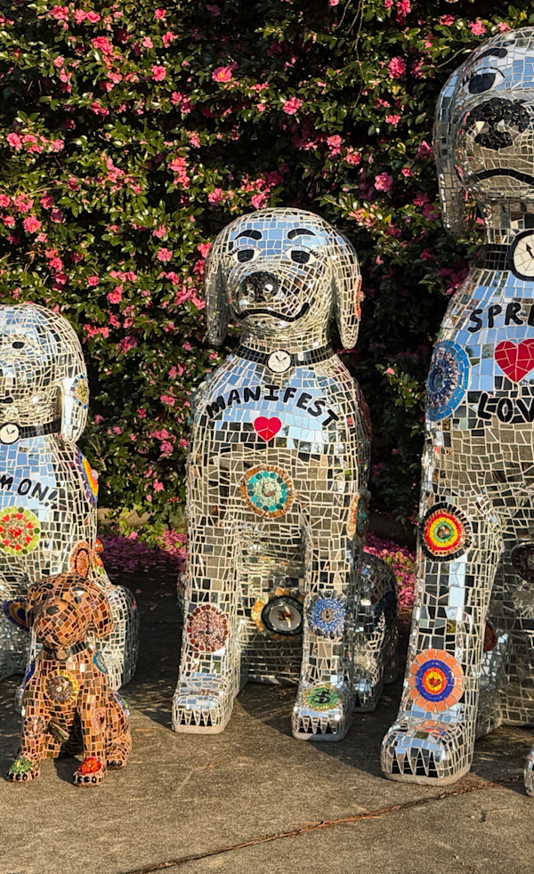 Manifest by Elizabeth Laul Healey