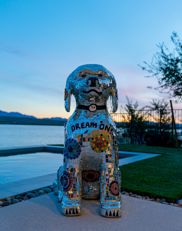 Spencer by Elizabeth Laul Healey