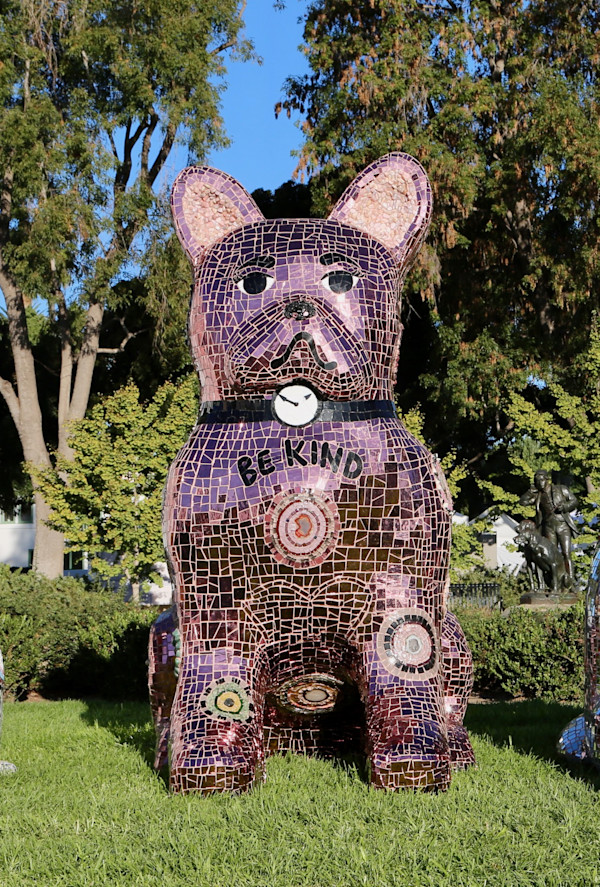 Fifi by Elizabeth Laul Healey
