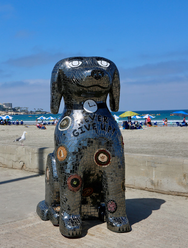 Rocky by Duffy Healey