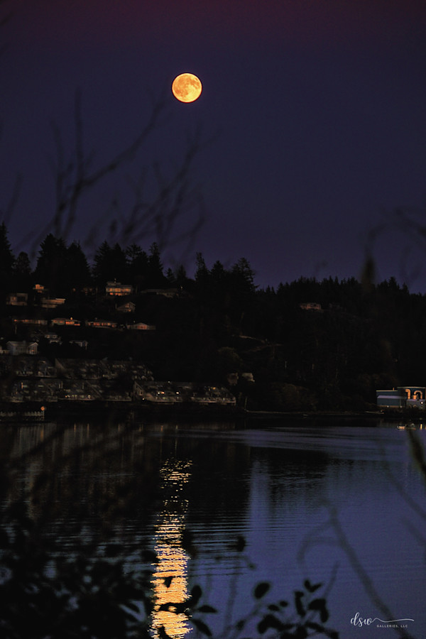 Harvest Moon Rising Canvas 16" x 24" by Jeremy Likness