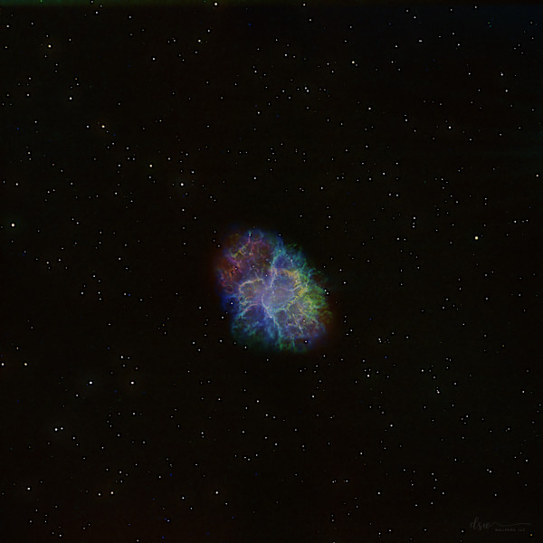 The Neon Crab (Cropped) by Jeremy Likness