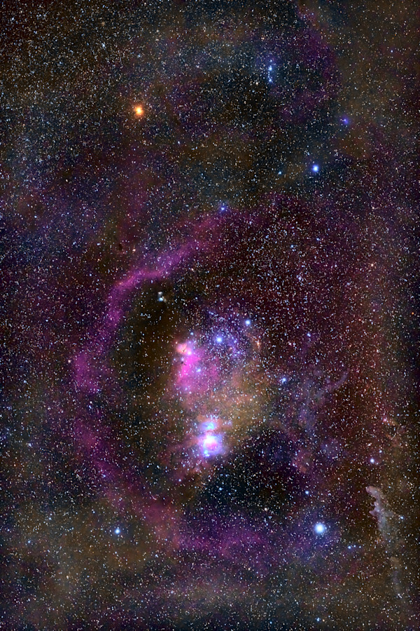 Orion, Revealed Metal 16" x 24" Original Print by Jeremy Likness