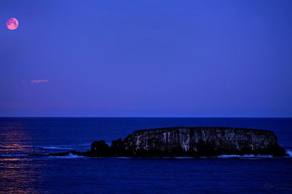 Snow Moon and Dauntless Series on Metal (16" x 20") part 1: Snow Moon by Jeremy Likness