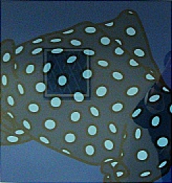 17. "She'll have forgotten her scarf"    From Jules Laforgue Portfolio by Patrick Caulfield   RA, Image 1.