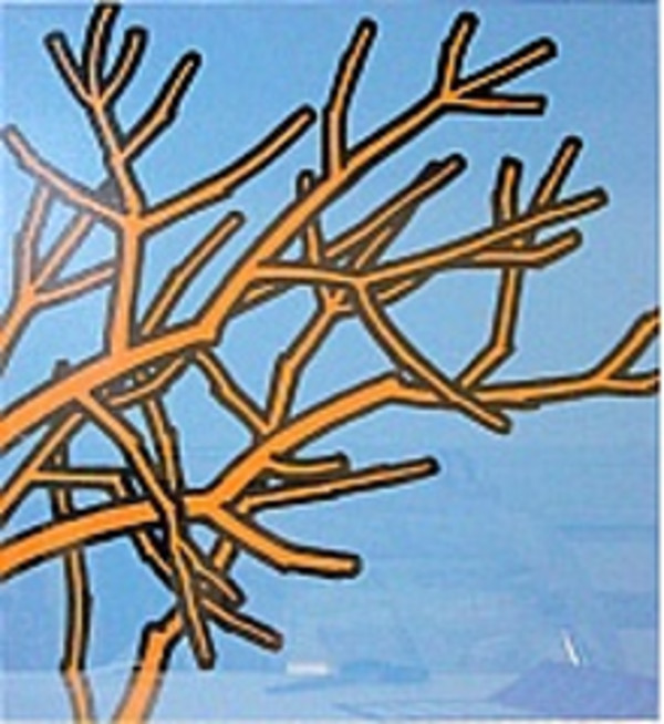 19. 'All the benches are wet, the woods are so rusty' by Patrick Caulfield   RA, Image 1.