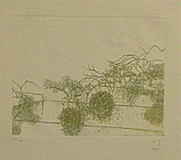Gardens of Hammersmith I by Victor Pasmore RA, Image 1.