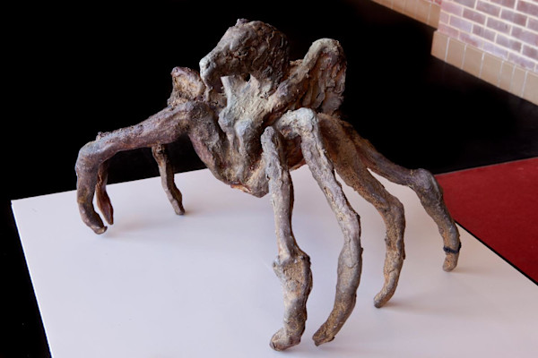 Avis Arachnea by Elizabeth Ann Huffman, Image 1.