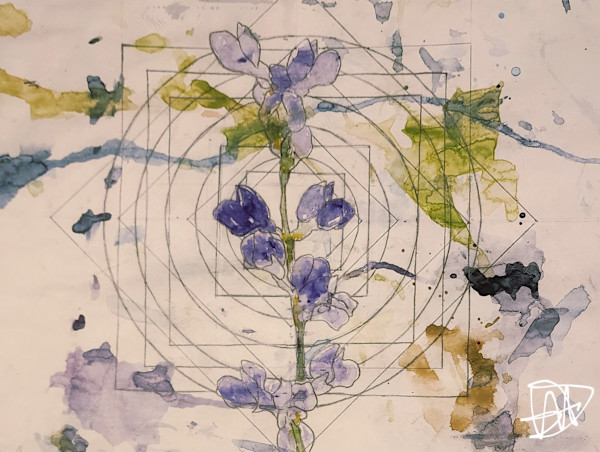 Baptisia by Elizabeth Ann Huffman, Image 1.