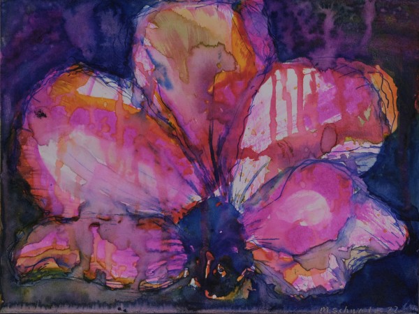 Chroma by Marjorie Schwartz