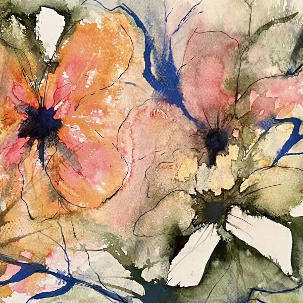 Clematis by Marjorie Schwartz