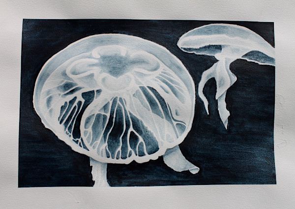 Aurelia Aurita, Moon Jelly by Grace Guirola