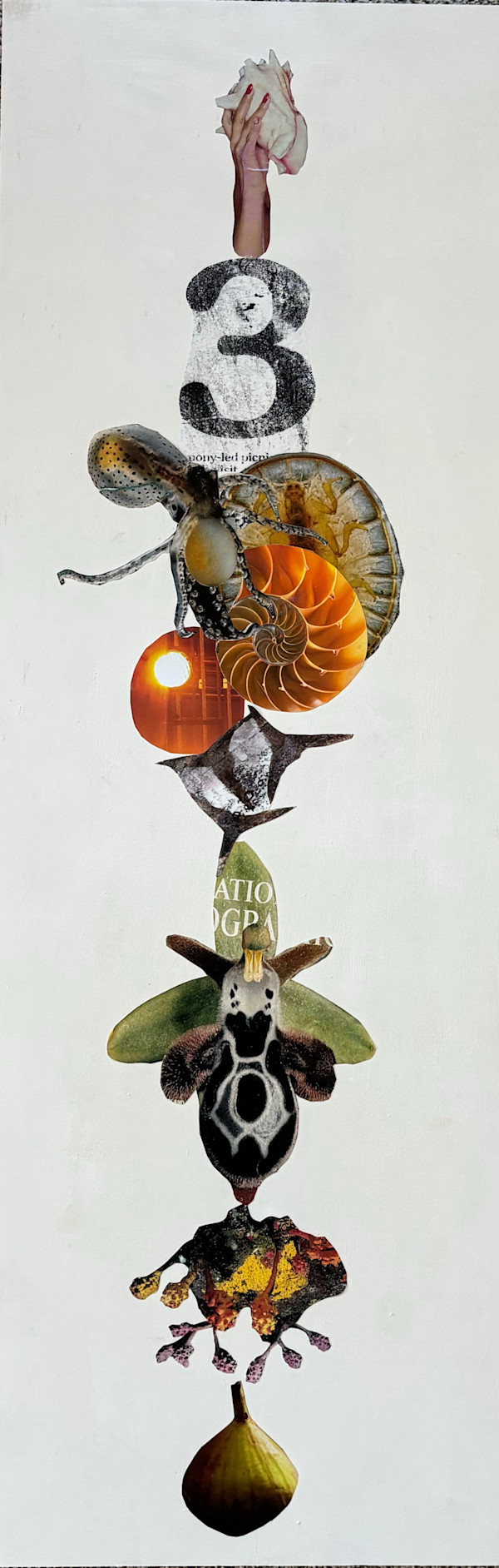 Scientific Enquiry 3 by Gayle Gerson, Image 1.