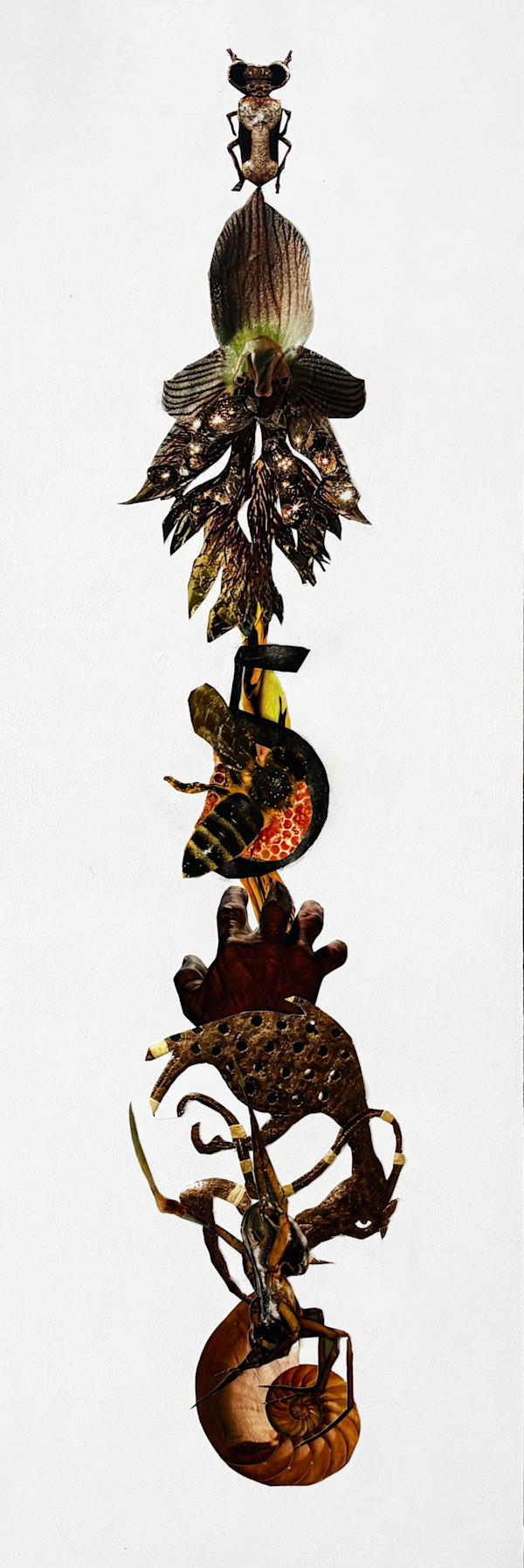 Scientific Enquiry 5 by Gayle Gerson, Image 1.
