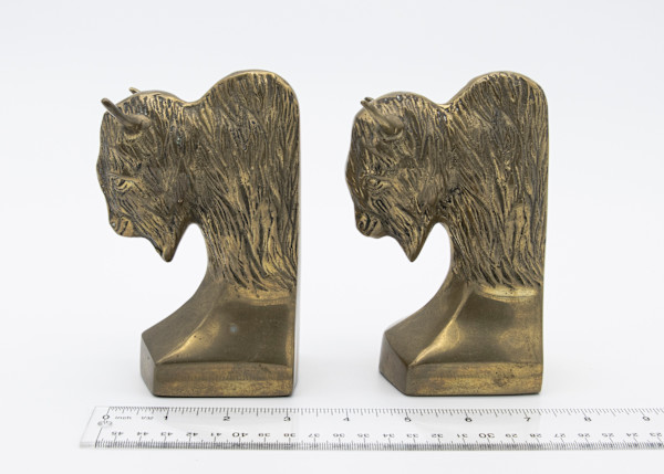 Bookend Bison 2