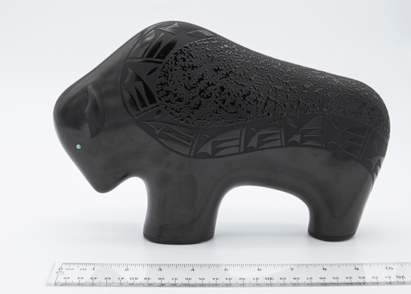 Black Bison by Ben Saxon