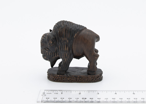 St Joseph's Indian School Bison
