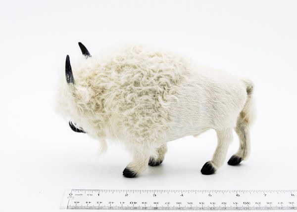 Native American Fur Bison 1