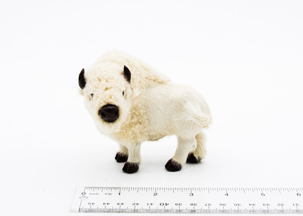 Native American Fur Bison 2