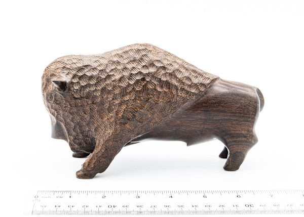 Ironwood Bison 2