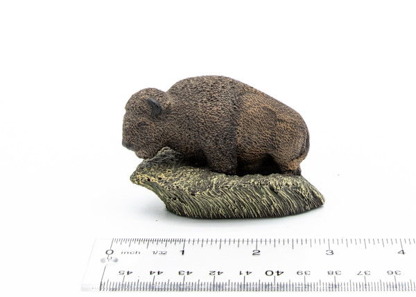 Bison in Grass