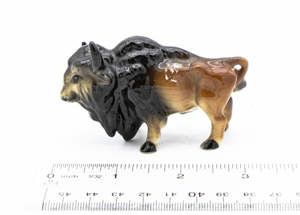 Bison