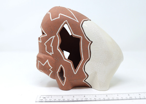 Native American Pueblo Pottery Bison