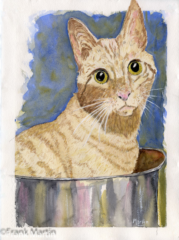 Cat Soup? by Frank Martin