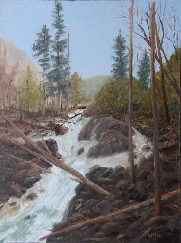 Yosemite Falls Rapids by Frank Martin