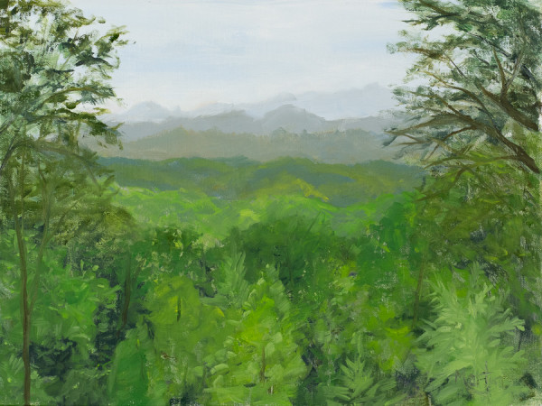 Great Smoky Overlook 1 by Frank Martin
