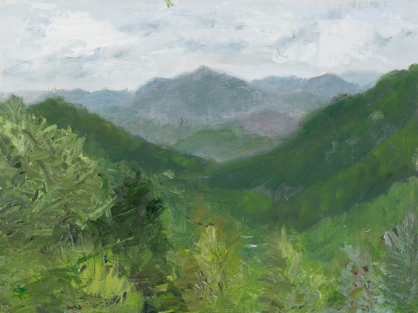 Great Smoky Overlook 2 by Frank Martin