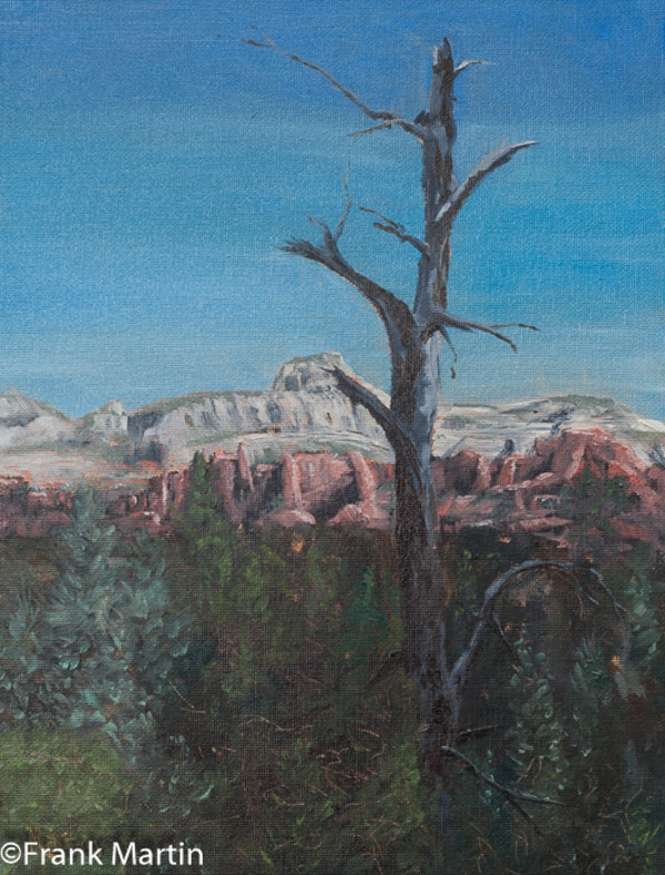 Sedona Roost by Frank Martin