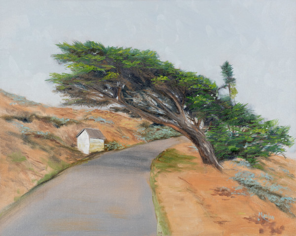 Windswept!  Point Reyes National Seashore by Frank Martin