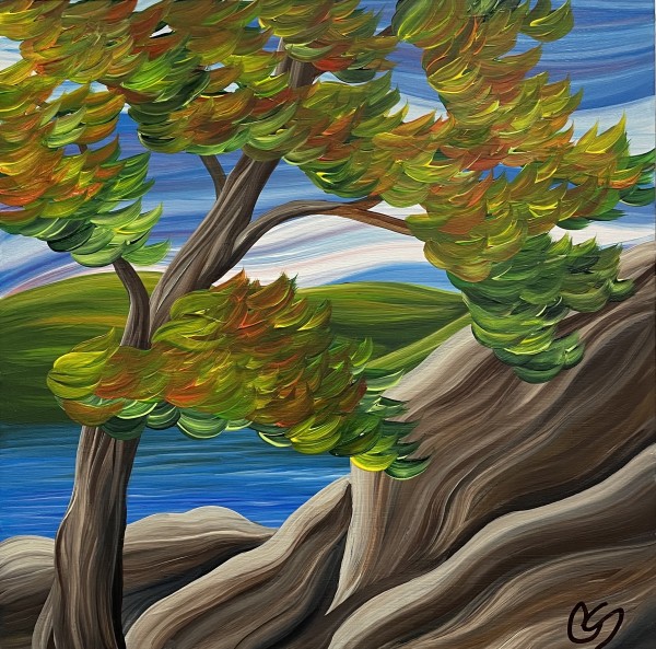 A Beautiful Breeze by Chris Schaefer