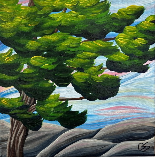 The Colour of Wind by Chris Schaefer