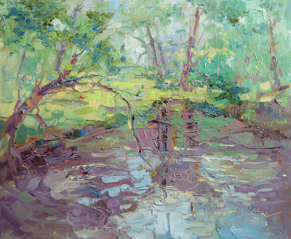 Backwater Bay by Barbara Schilling