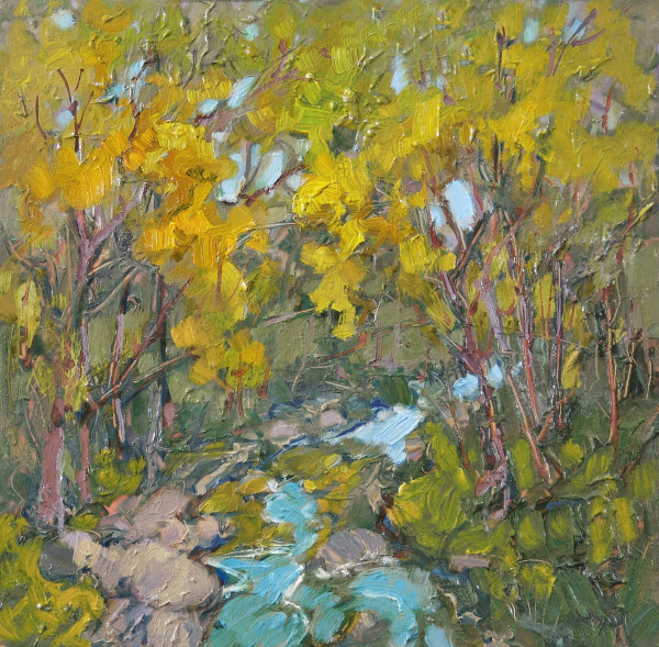 Barkley Creek by Barbara Schilling