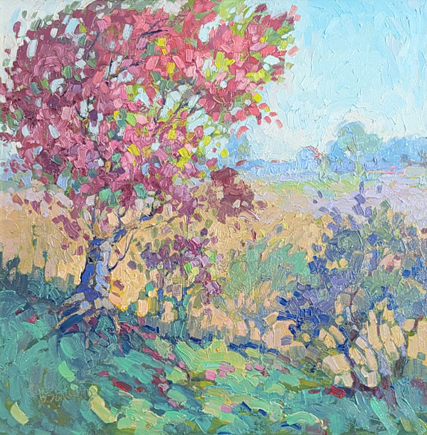 Cherry Blossoms by Barbara Schilling