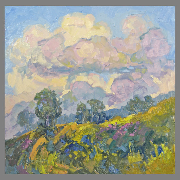 Clouds Illusions by Barbara Schilling