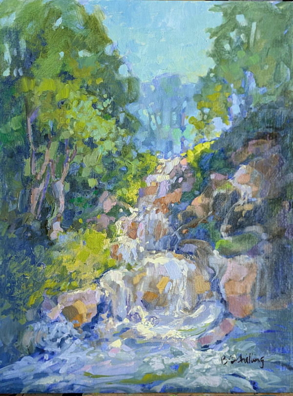 Poconos Waterfall by Barbara Schilling