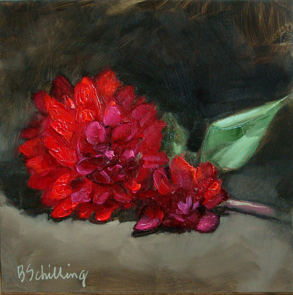 Red Dahlia by Barbara Schilling