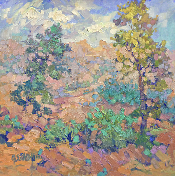 Soft Desert Morning by Barbara Schilling