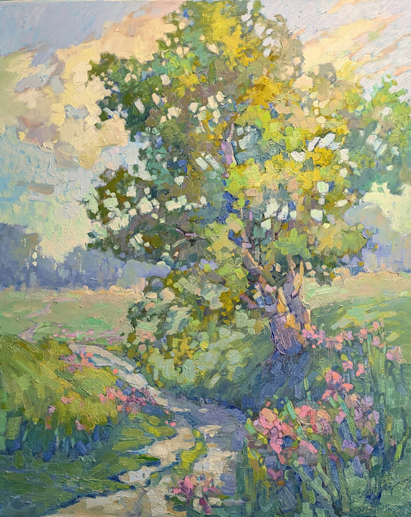 Soft Summer Light by Barbara Schilling, Image 1.