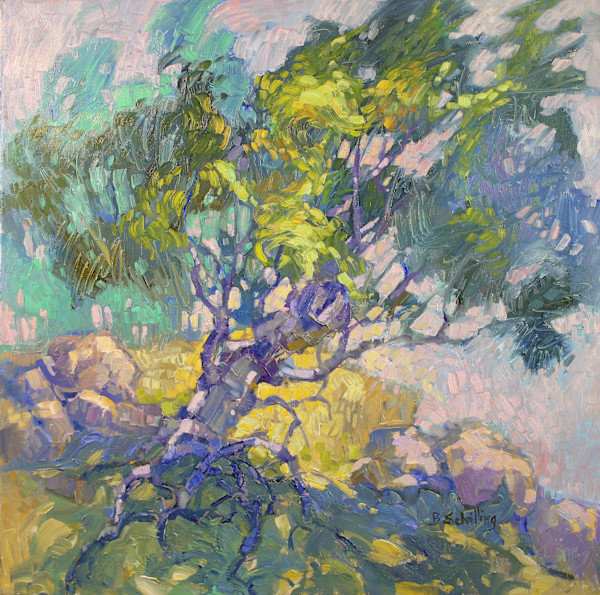 The Shape of Becoming by Barbara Schilling