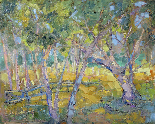 Dappled Light by Barbara Schilling