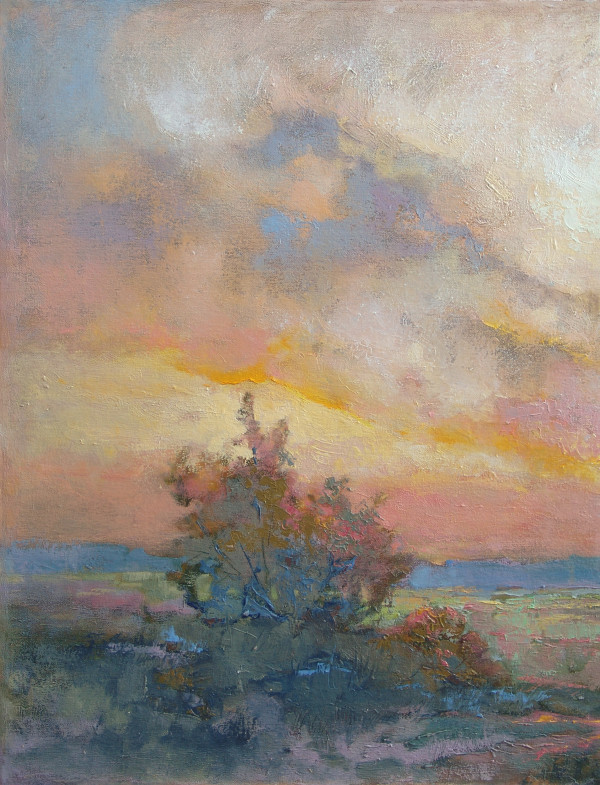 Sunset Valley Overlook by Barbara Schilling
