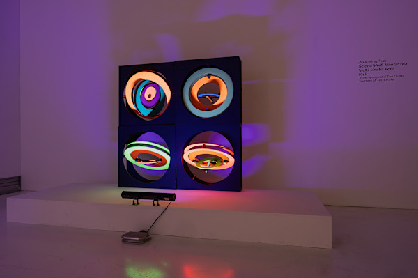 Multi-Kinetic Wall * (Quad #2) by Wen-Ying Tsai, Image 2.
