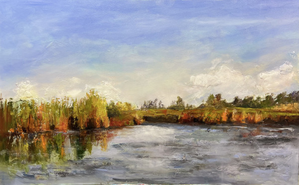 Louisiana Marsh by Betty Efferson