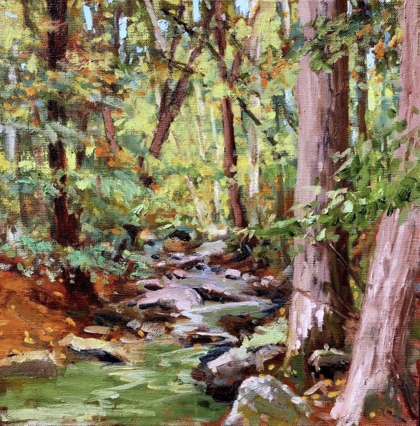Catoctin Stream by Deborah Lovelace Richardson